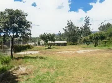 Rento Terreno 3.135 m² en La Ruta Viva Sector La Ceramica — imagen 4