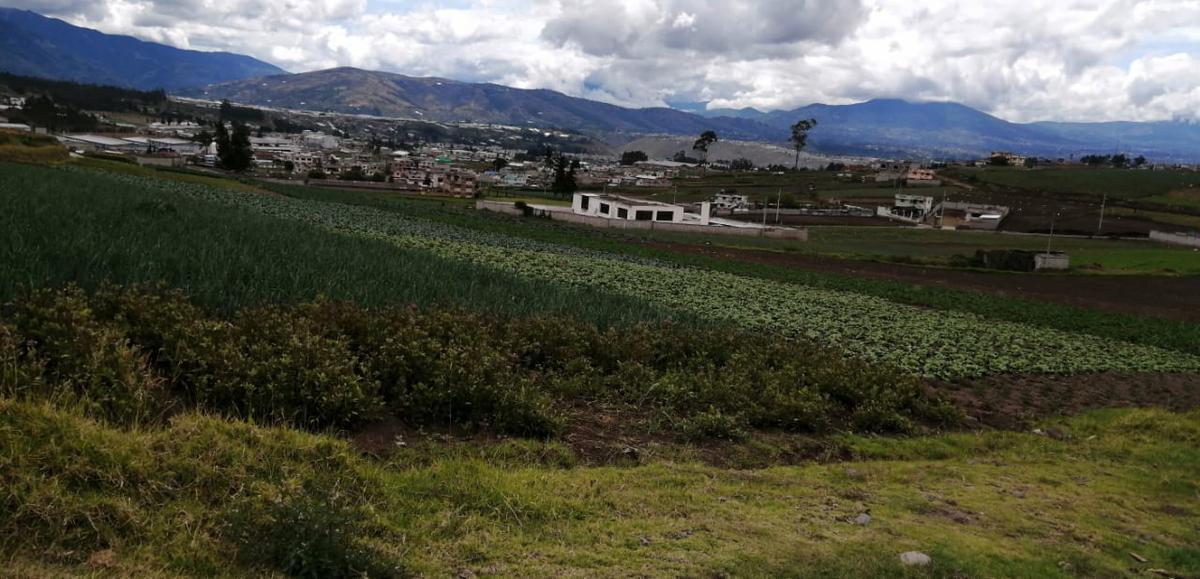 Lote en Venta en Samanga. Tungurahua — imagen 10