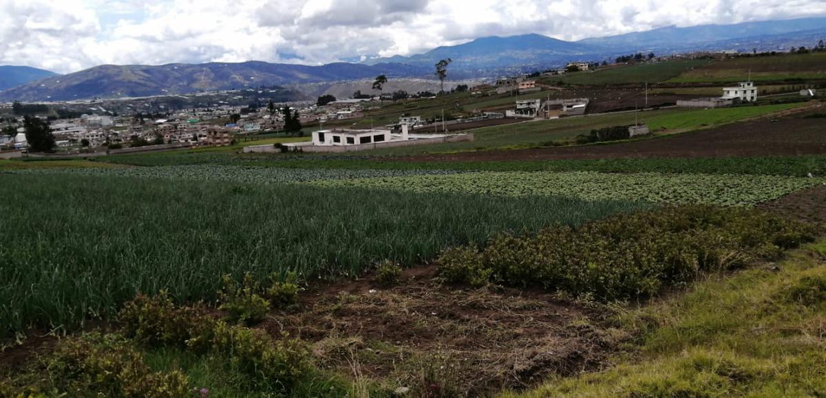 Lote en Venta en Samanga. Tungurahua — imagen 6