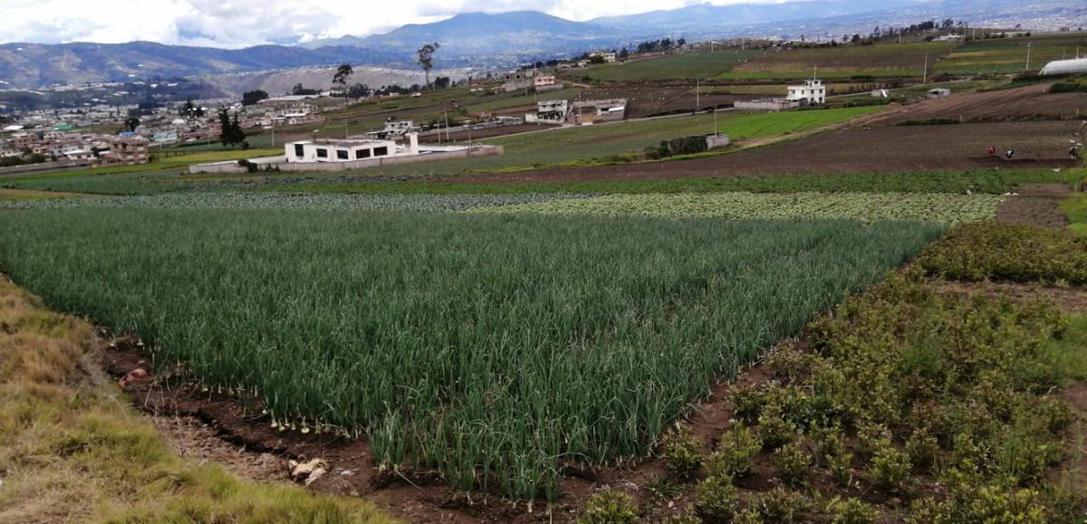 Lote en Venta en Samanga. Tungurahua — imagen 2
