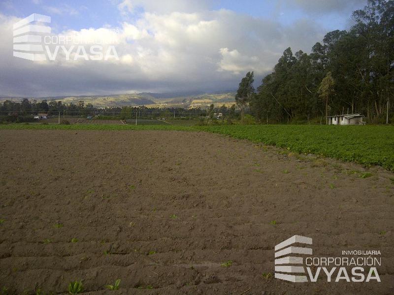 Tababela, Terreno de Venta Junto Al Nuevo Aeropuerto Mariscal Sucre — imagen 10