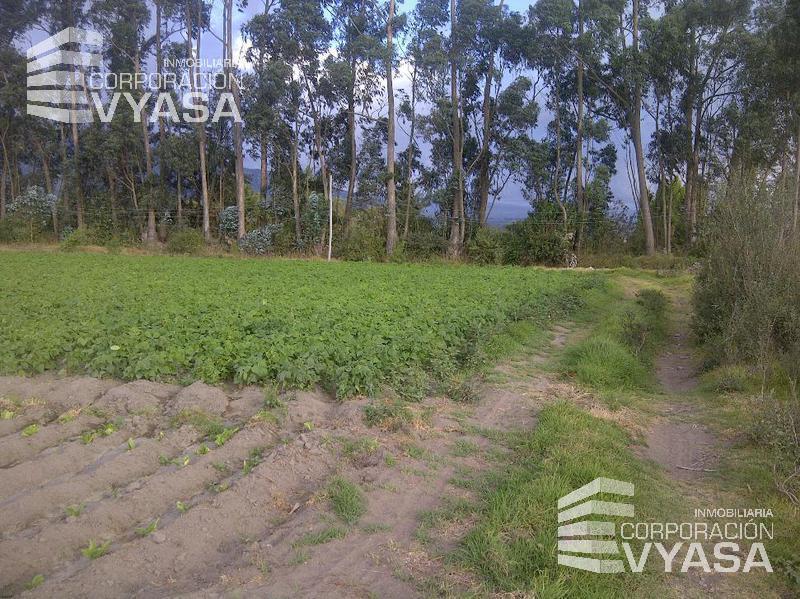 Tababela, Terreno de Venta Junto Al Nuevo Aeropuerto Mariscal Sucre — imagen 7