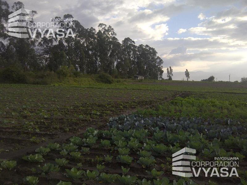 Tababela, Terreno de Venta Junto Al Nuevo Aeropuerto Mariscal Sucre — imagen 6