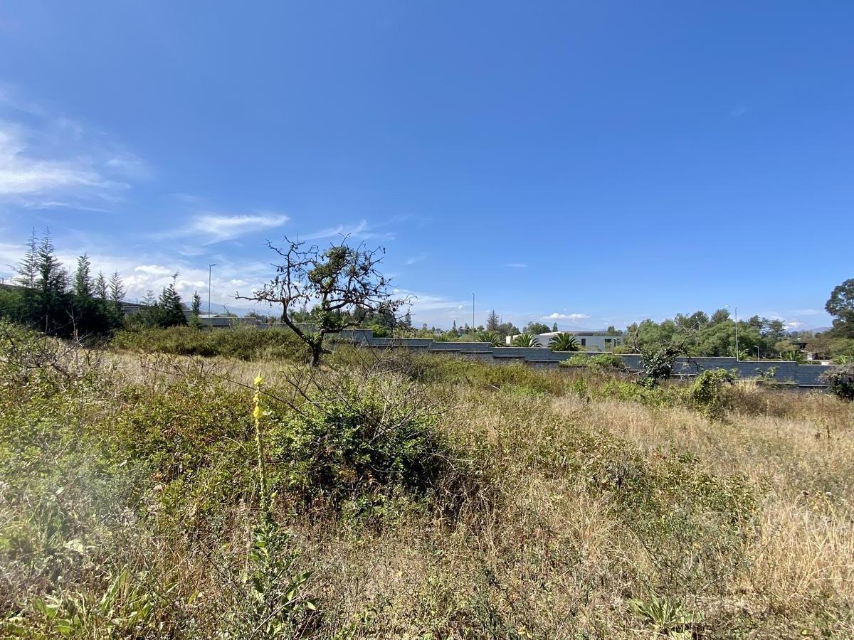 Terreno de Venta en Calderón de 1,5 Has (Barrio Sierra Hermosa) — imagen 5