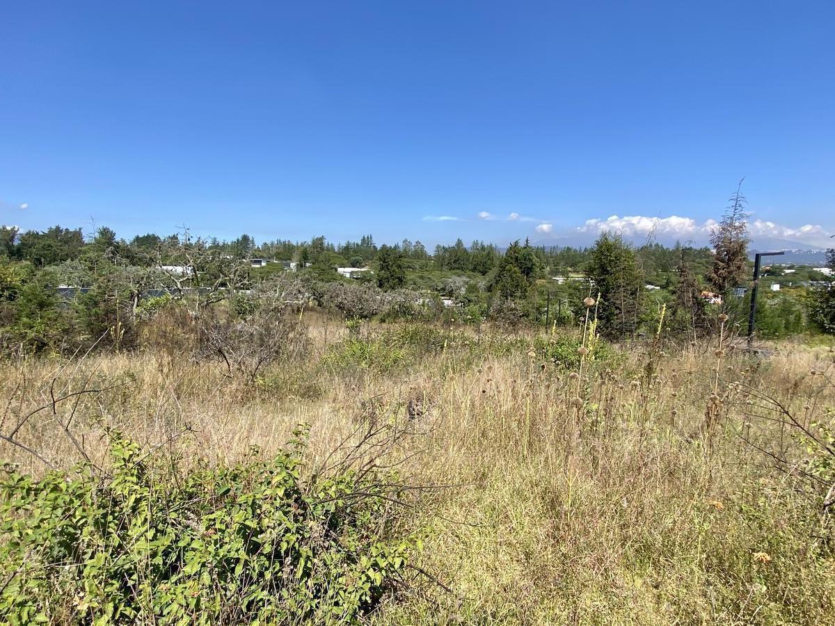 Terreno de Venta en Calderón de 1,5 Has (Barrio Sierra Hermosa) — imagen 4