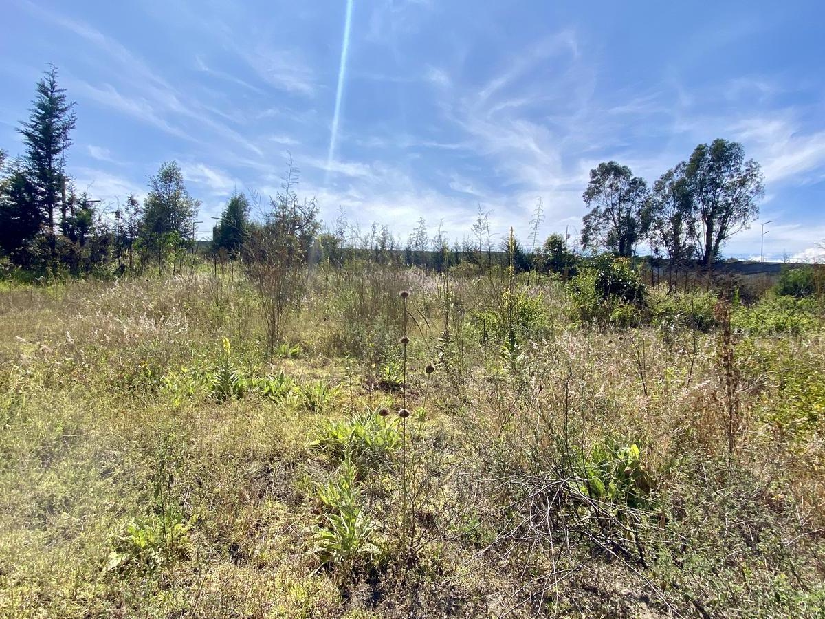 Terreno de Venta en Calderón de 1,5 Has (Barrio Sierra Hermosa) — imagen 2