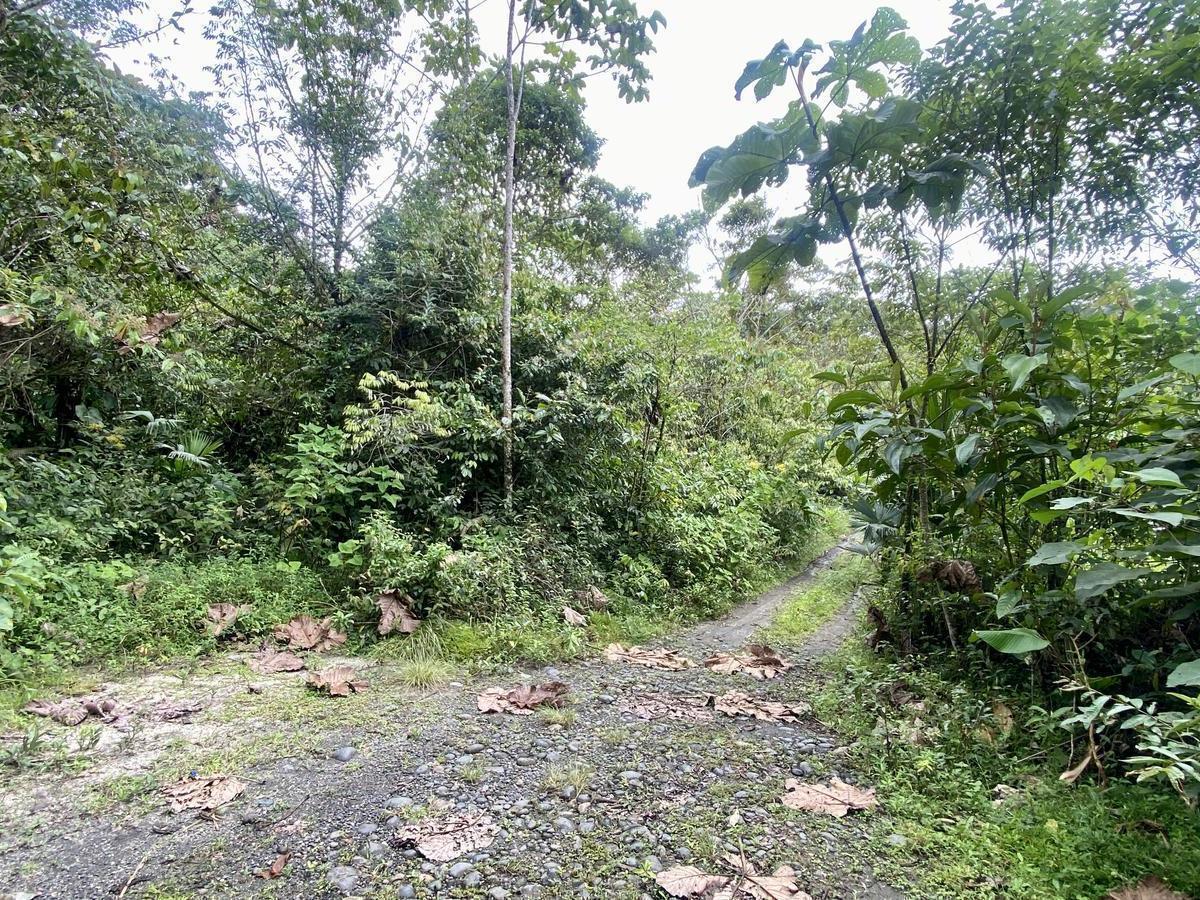 Vendo Lotización en Indillama (El Puyo), Pastaza — imagen 7