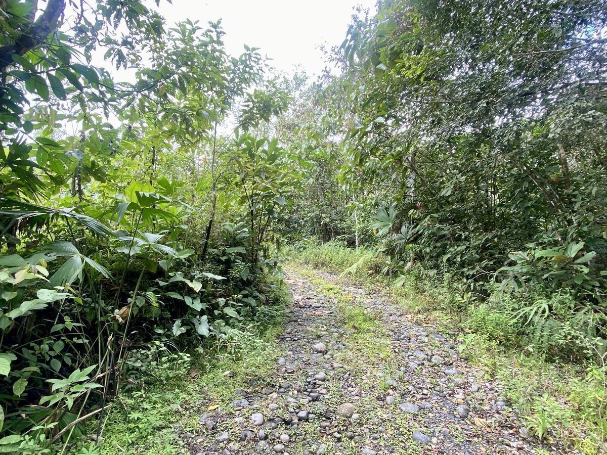 Vendo Lotización en Indillama (El Puyo), Pastaza — imagen 6