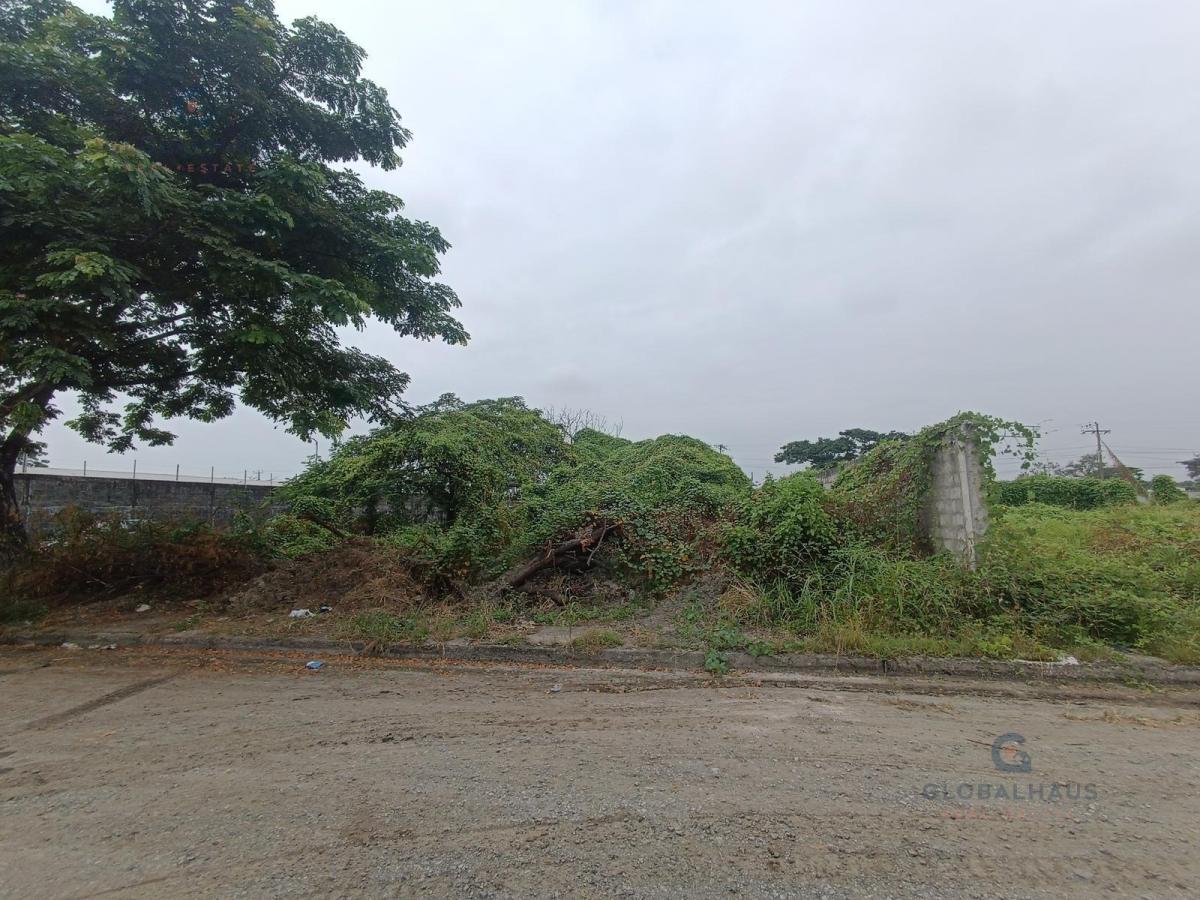 Venta de Terreno Esquinero en Urb. Gloria del Batan. 600 m². S. C, Guayas — imagen 5