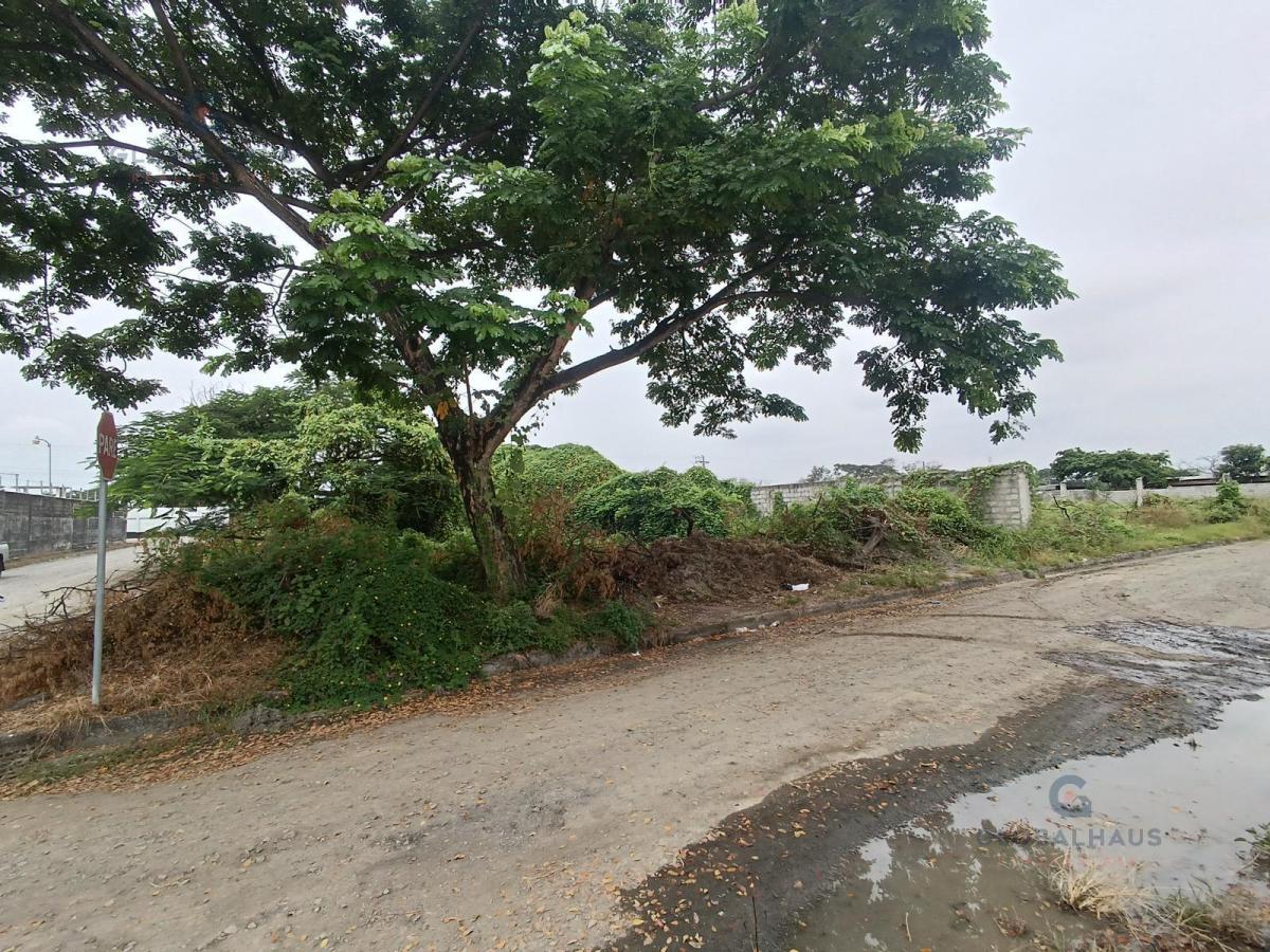 Venta de Terreno Esquinero en Urb. Gloria del Batan. 600 m². S. C, Guayas — imagen 3