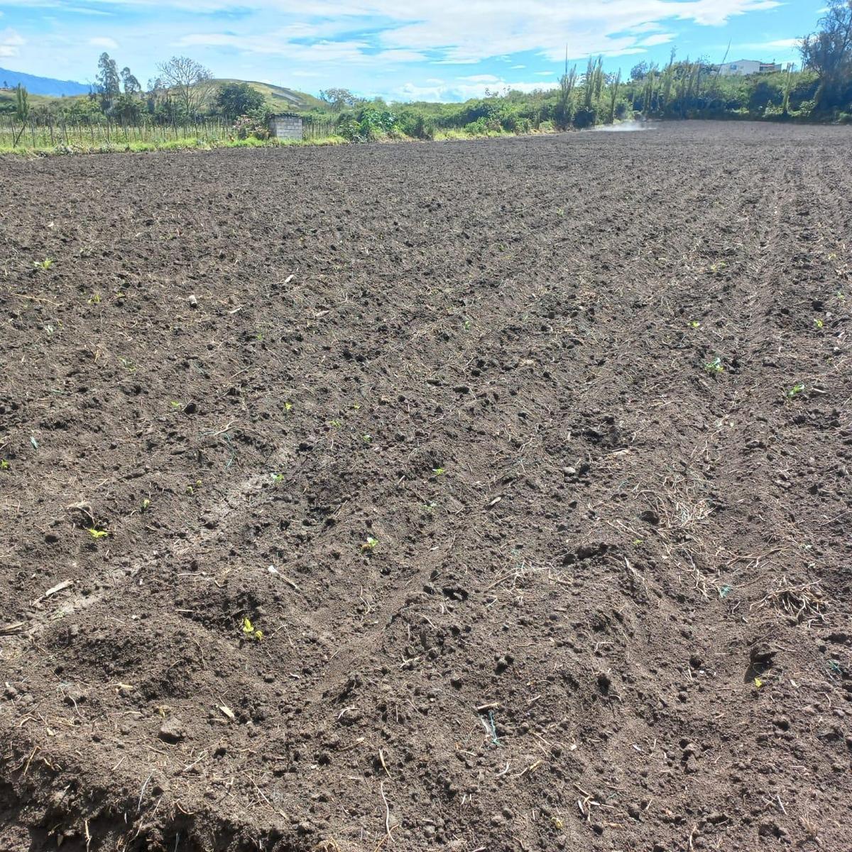 Terreno en Atuntaqui, Imbabura — imagen 5