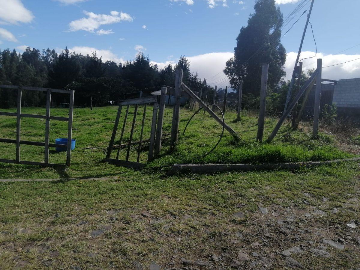 Venta Terreno Plano Alangasí — imagen 6