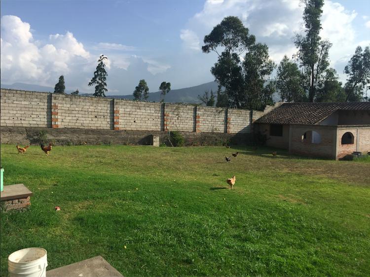 Tumbaco Terreno de Venta Sector Collaqui Hermosa Vista — imagen 10