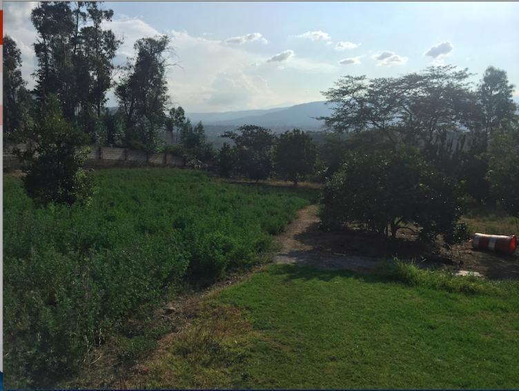 Tumbaco Terreno de Venta Sector Collaqui Hermosa Vista — imagen 8