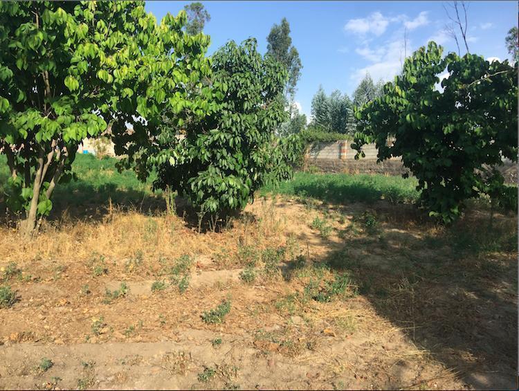 Tumbaco Terreno de Venta Sector Collaqui Hermosa Vista — imagen 2