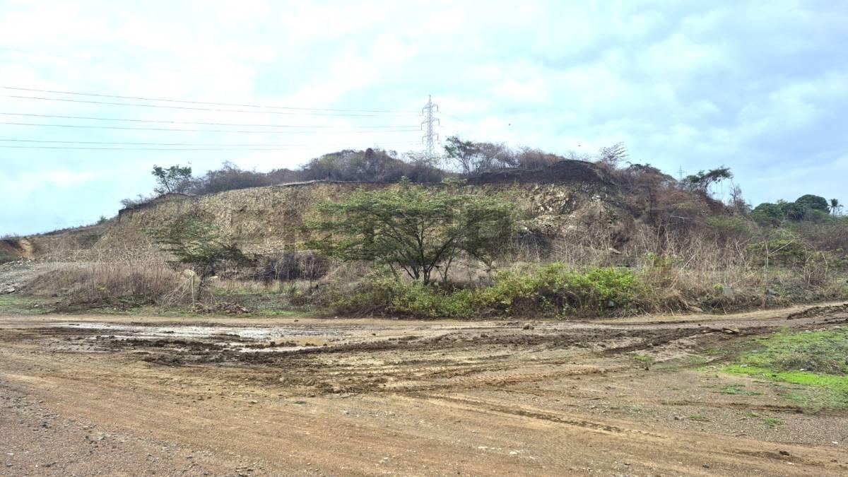 Venta de Terreno Industrial en Parque Industrial Petrillo – Nobol J. Zav, Guayas — imagen 8
