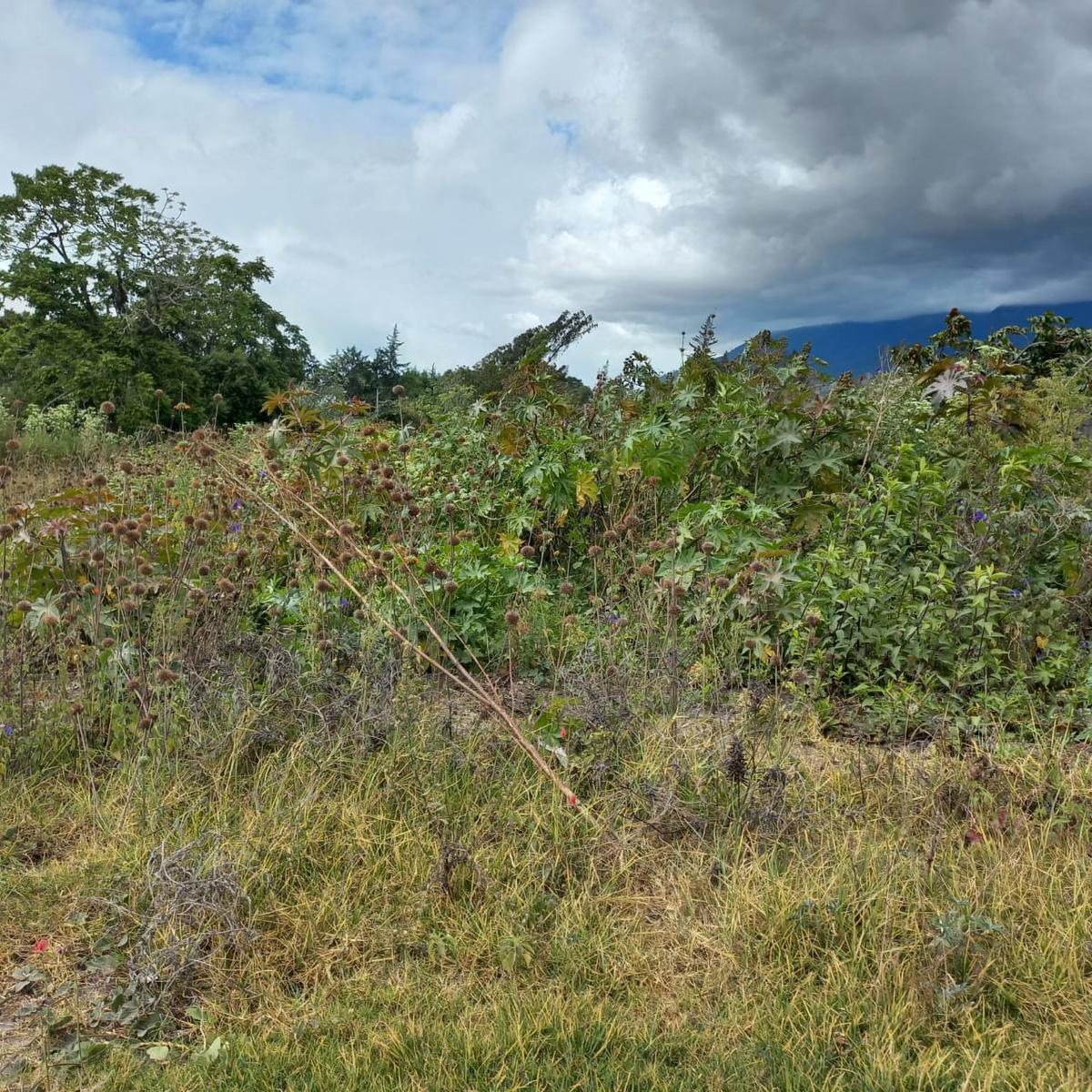 Terreno en Atuntaqui, Imbabura — imagen 3