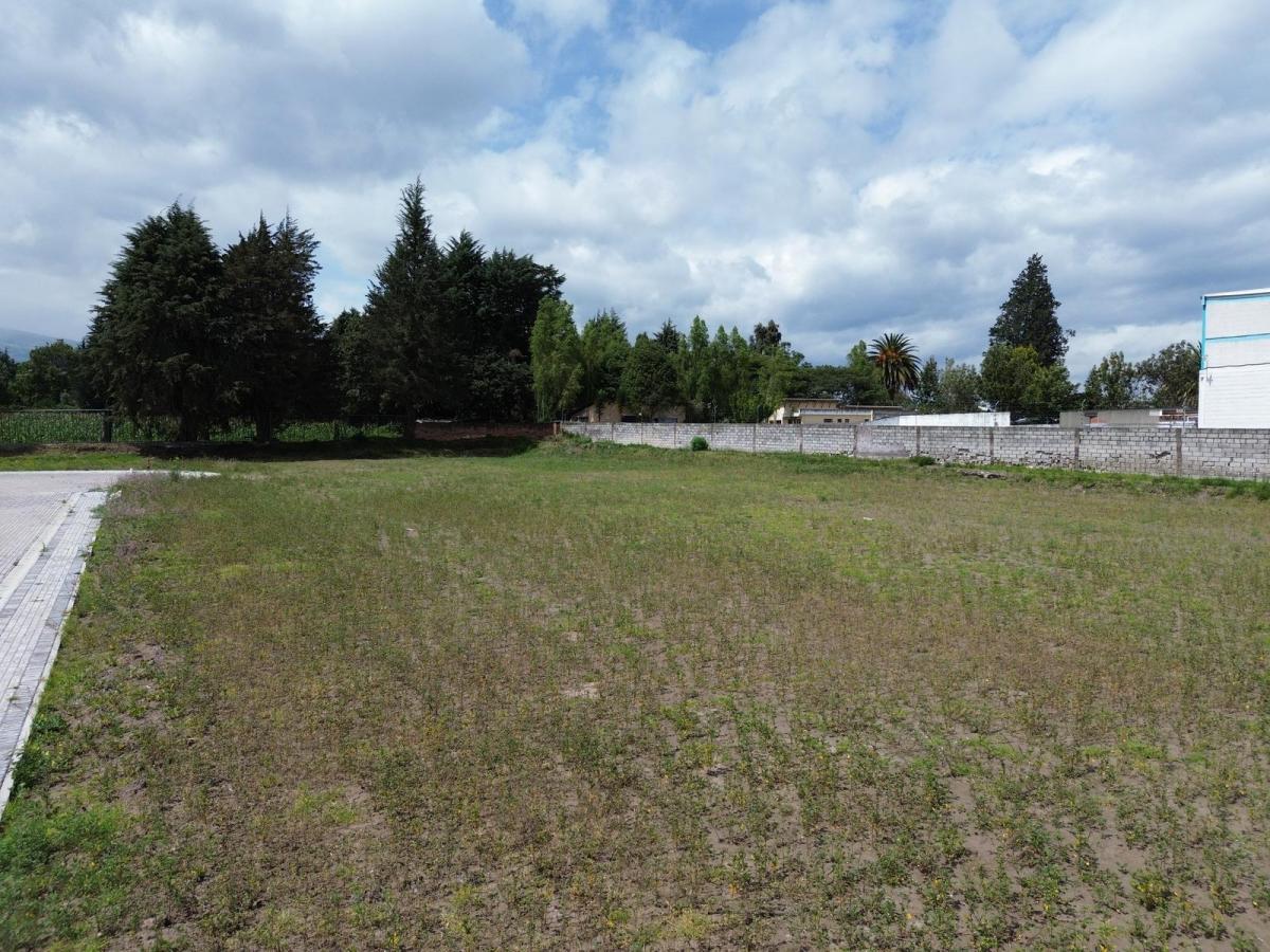 Lotes de 1000 m² de Venta en Puembo Sector Colegio Einstein — imagen 9