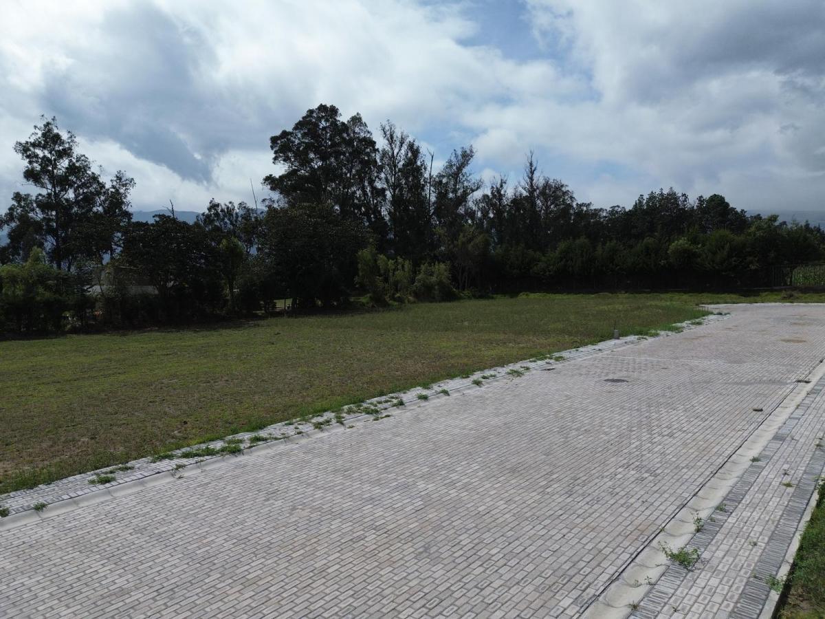 Lotes de 1000 m² de Venta en Puembo Sector Colegio Einstein — imagen 2