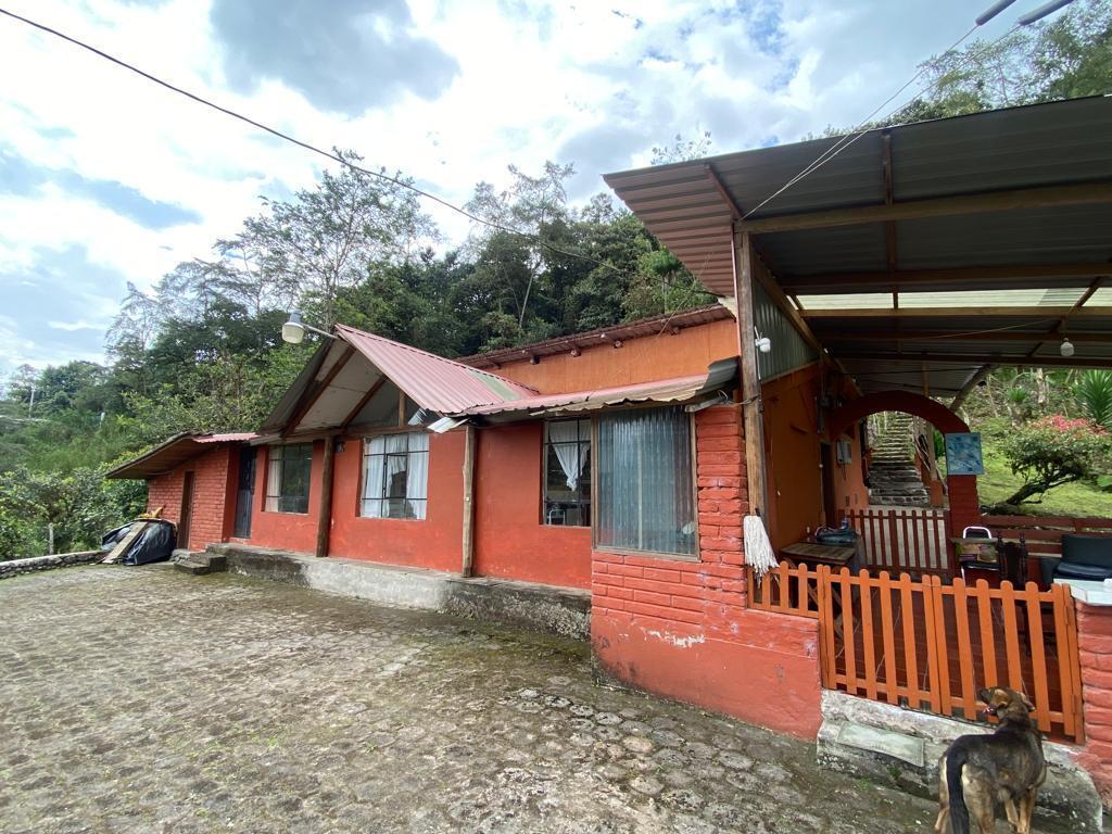 Venta Finca en Nanegalito con Frente a La Vía, 22 Has Gb. Provincia de Pichincha — imagen 7