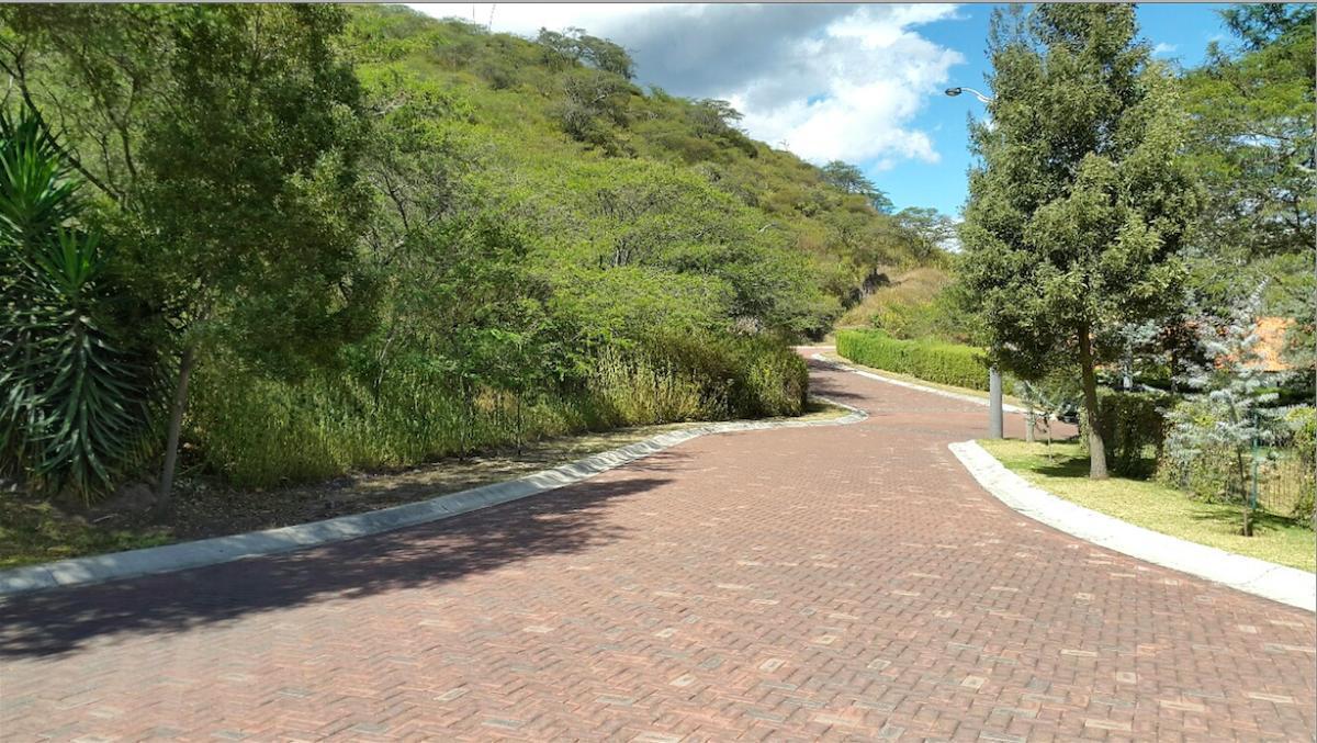 Tumbaco. Hermoso Terreno en La Viña — imagen 7