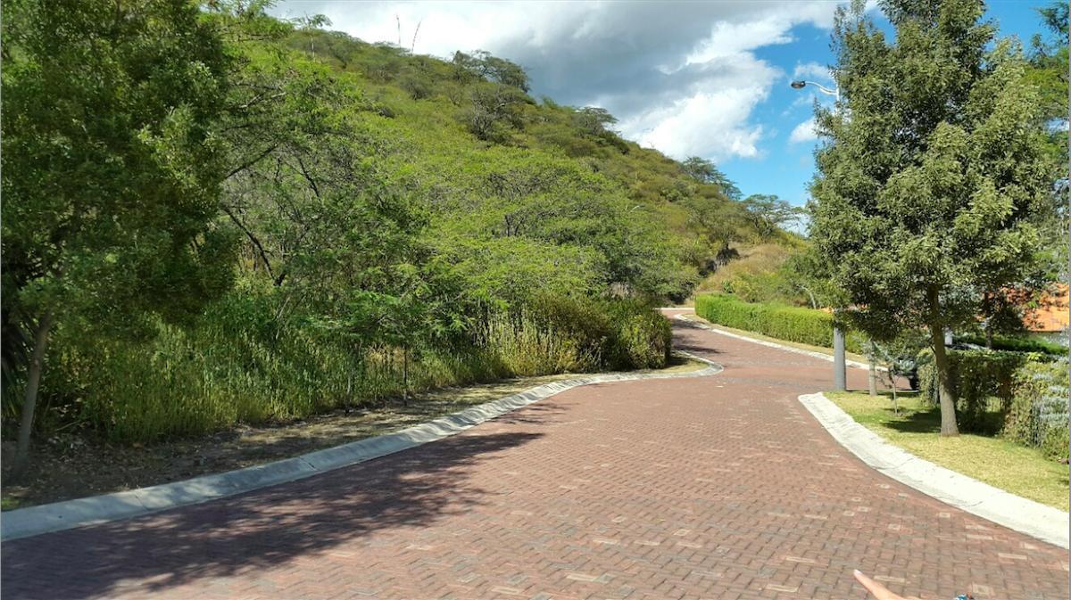 Tumbaco. Hermoso Terreno en La Viña — imagen 6