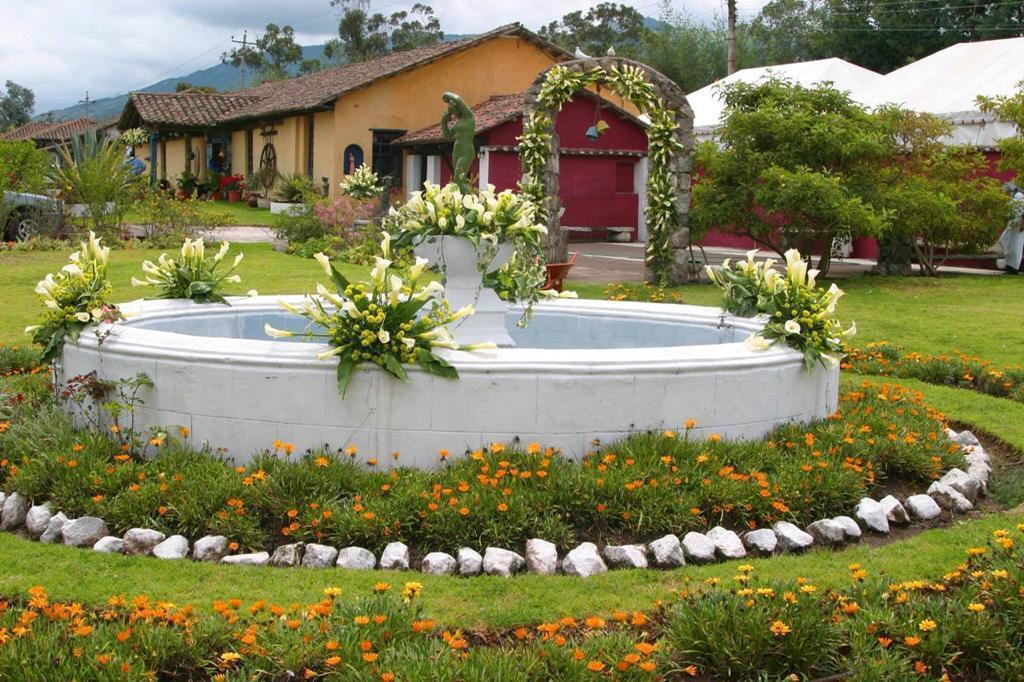 Mv - Pifo en Venta Casa Quinta Ideal Para Eventos, con Lote de Terreno de 9.107 m² — imagen 10