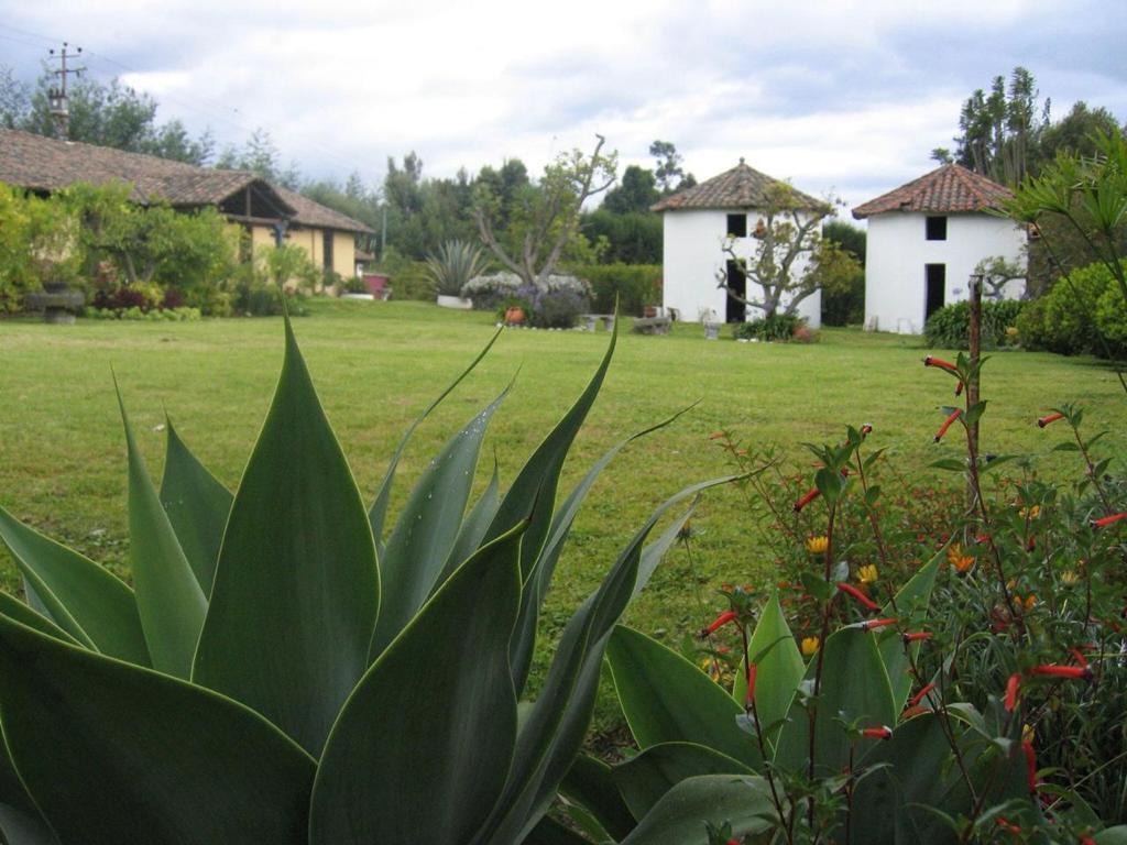 Mv - Pifo en Venta Casa Quinta Ideal Para Eventos, con Lote de Terreno de 9.107 m² — imagen 9