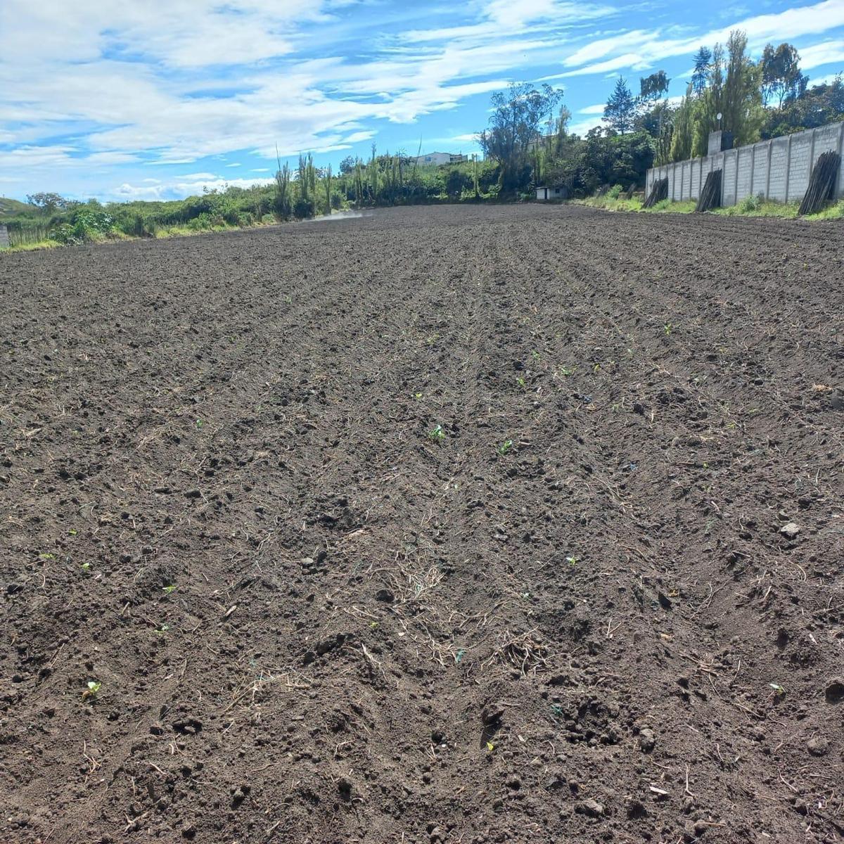 Terreno en Atuntaqui, Imbabura — imagen 6