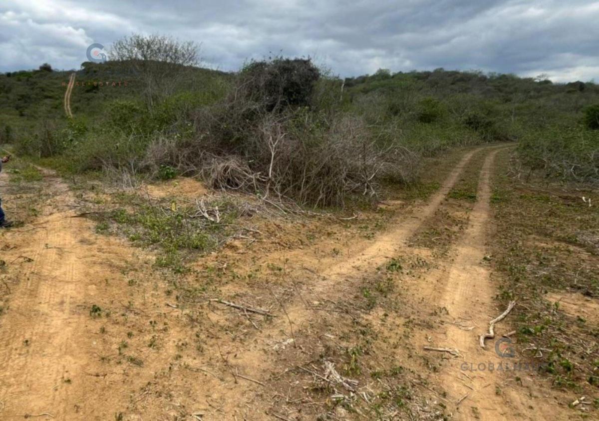 Venta de Terreno en Comuna Sacachun, Cantón Santa Elena. 380has G. P. Provincia de Santa Elena — imagen 5