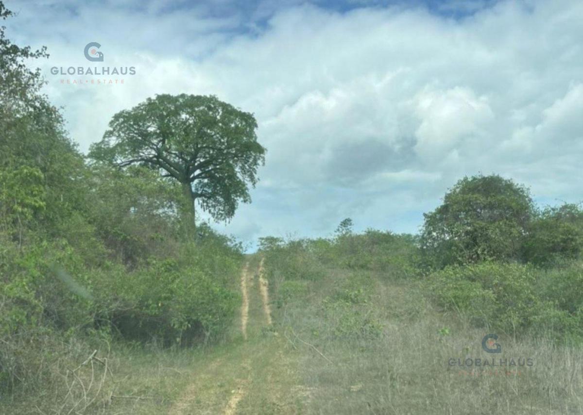 Venta de Terreno en Comuna Sacachun, Cantón Santa Elena. 380has G. P. Provincia de Santa Elena — imagen 4