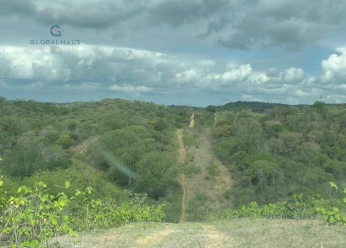 Venta de Terreno en Comuna Sacachun, Cantón Santa Elena. 380has G. P. Provincia de Santa Elena — imagen 2