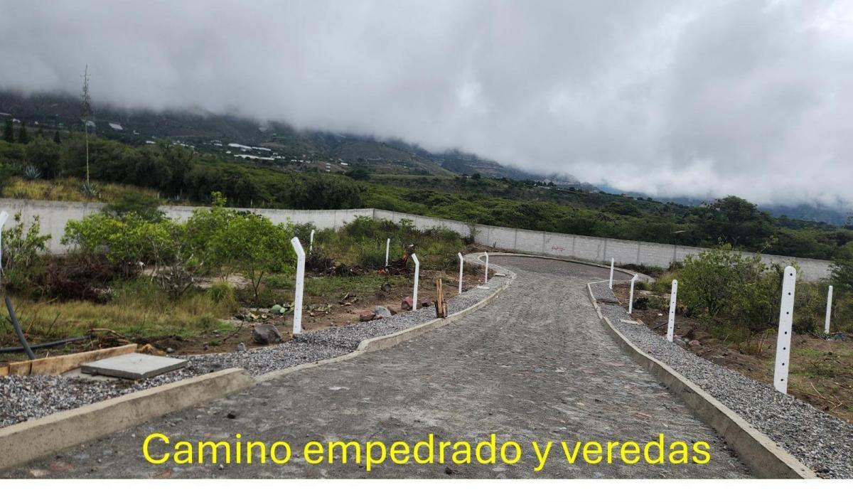 Terreno en Guayllabamba — imagen 7