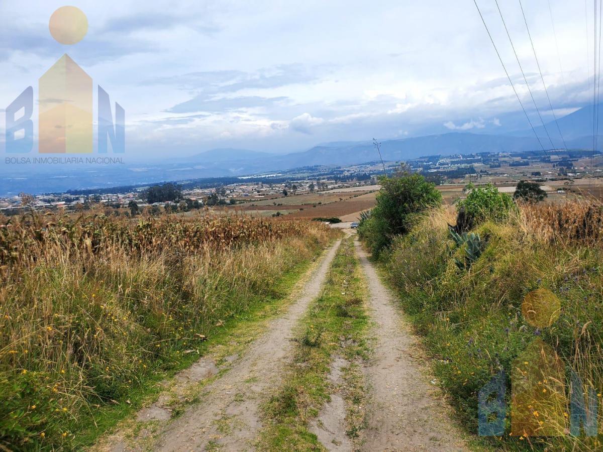 Terreno de Una Hectárea en Venta Sector Malchinguí — imagen 10