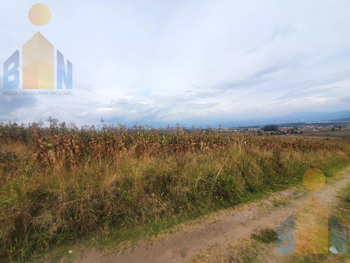 Terreno de Una Hectárea en Venta Sector Malchinguí — imagen 9