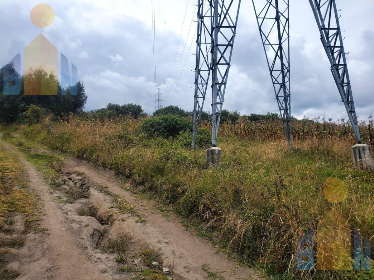 Terreno de Una Hectárea en Venta Sector Malchinguí — imagen 8