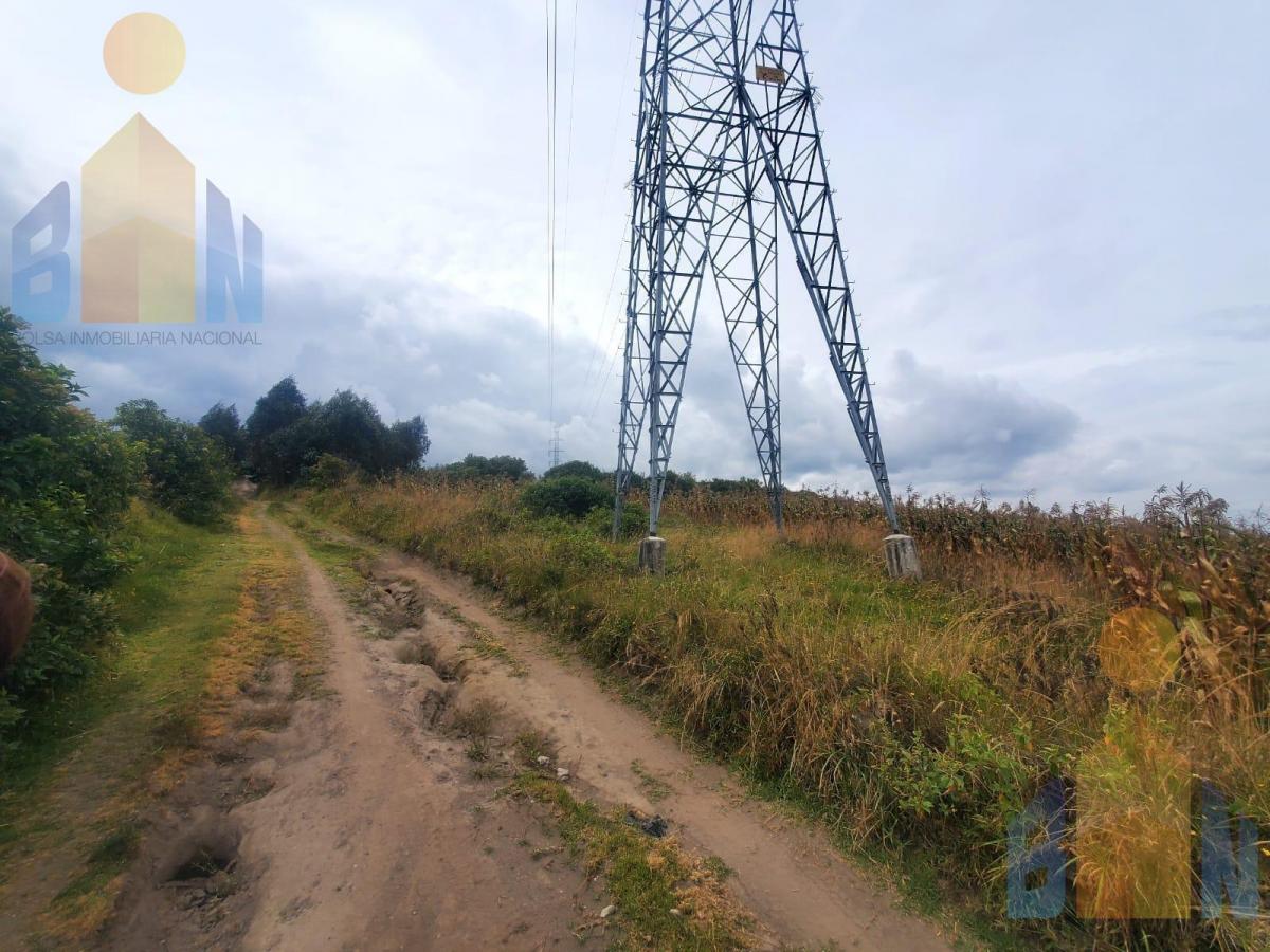 Terreno de Una Hectárea en Venta Sector Malchinguí — imagen 7