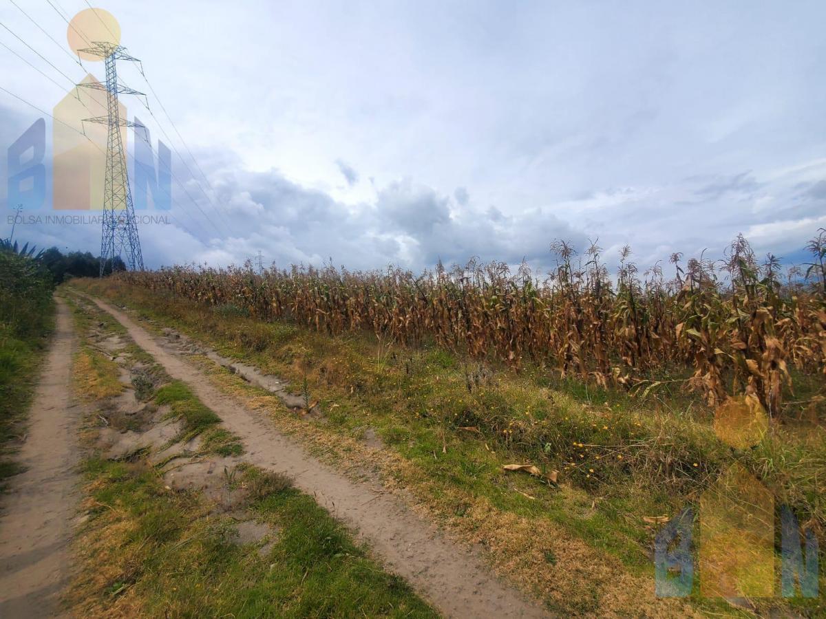 Terreno de Una Hectárea en Venta Sector Malchinguí — imagen 6