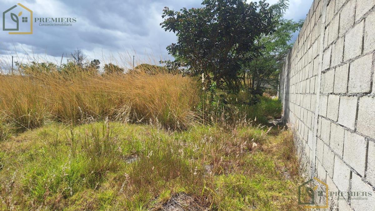 Venta Terreno en La Ruta Viva — imagen 6