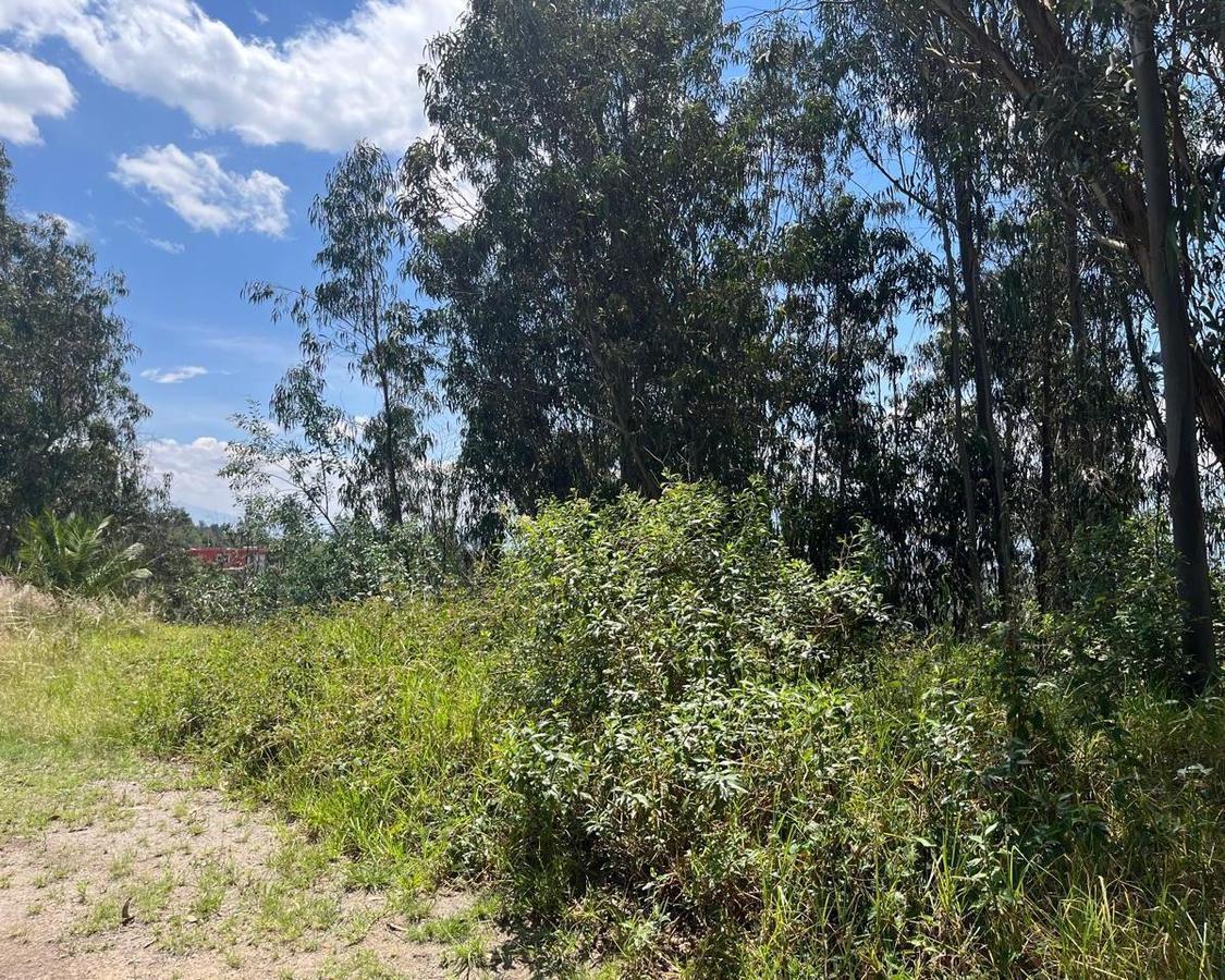 Terreno Bifamiliar Venta Nayon Urbanización *msb* — imagen 7