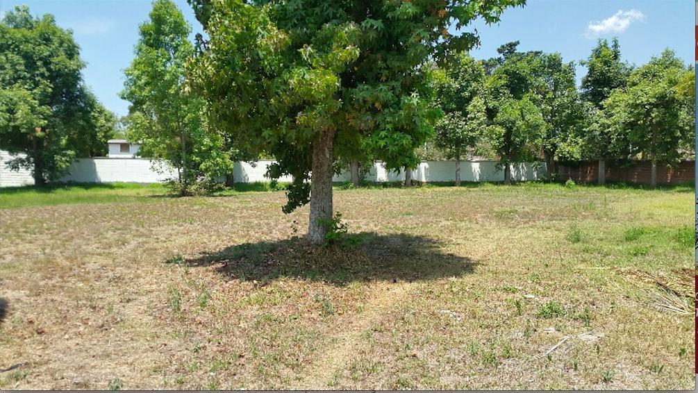 Puembo. Terreno de Venta en Conjunto — imagen 2