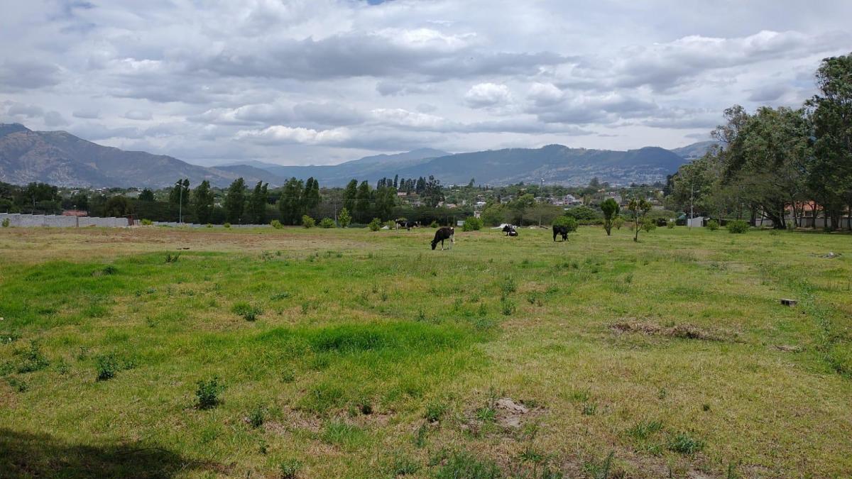Lotes de Venta en Hilacril Dentro de Urbanizacion — imagen 8