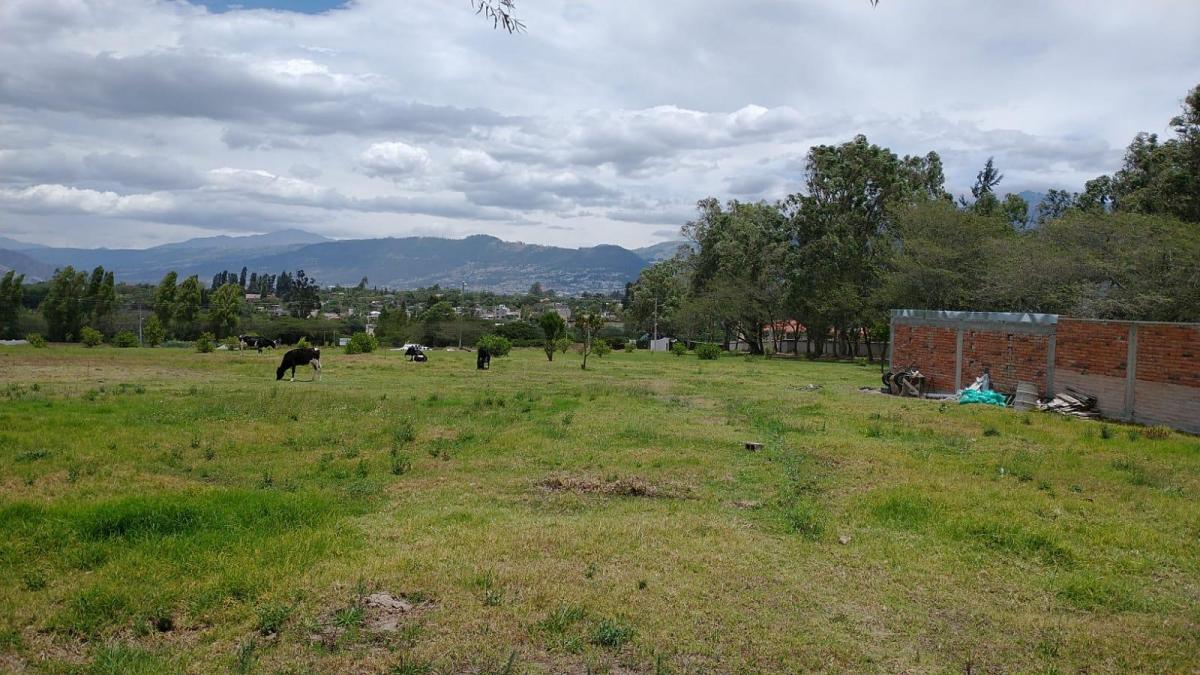 Lotes de Venta en Hilacril Dentro de Urbanizacion — imagen 7