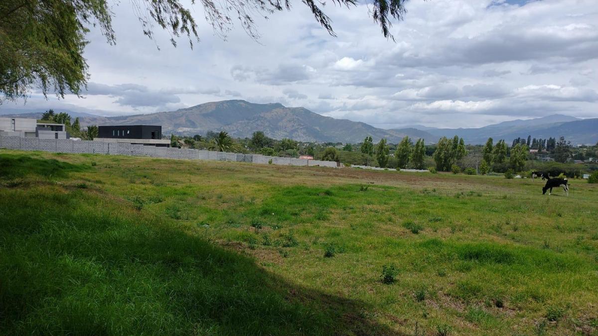 Lotes de Venta en Hilacril Dentro de Urbanizacion — imagen 6