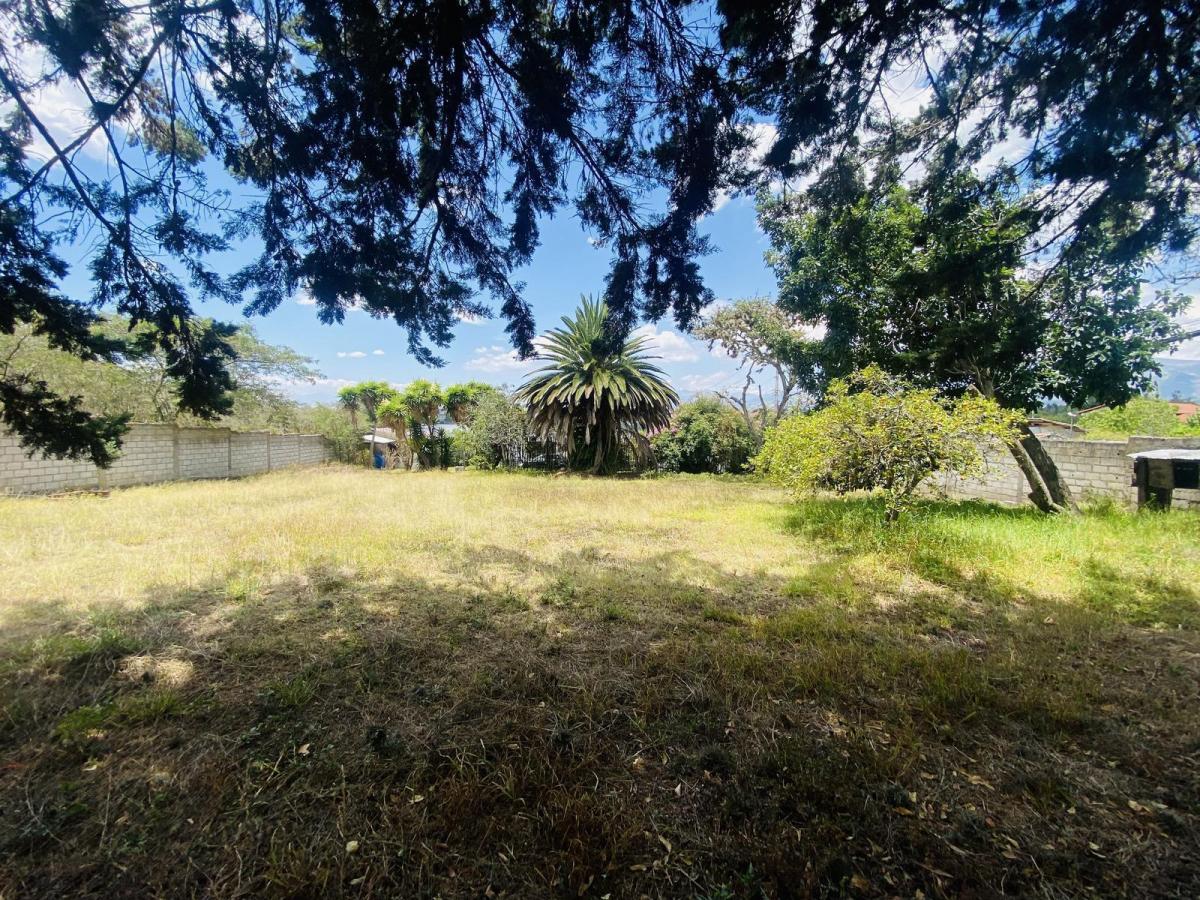 Terreno Independiente en Venta con Casa en Tumbaco — imagen 6