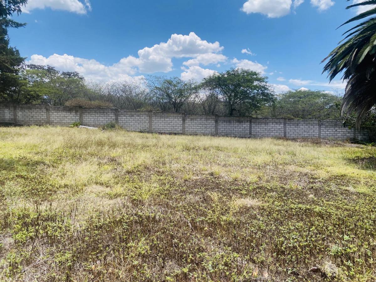 Terreno Independiente en Venta con Casa en Tumbaco — imagen 5
