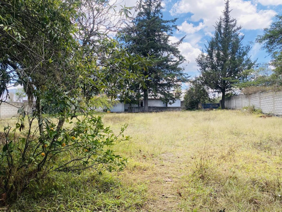 Terreno Independiente en Venta con Casa en Tumbaco — imagen 3