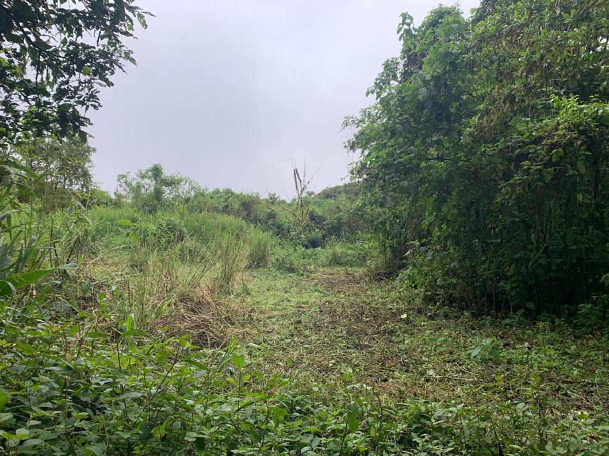Finca de Venta en Bosque Pacoche Manta Manabí Bl, Manabí — imagen 10