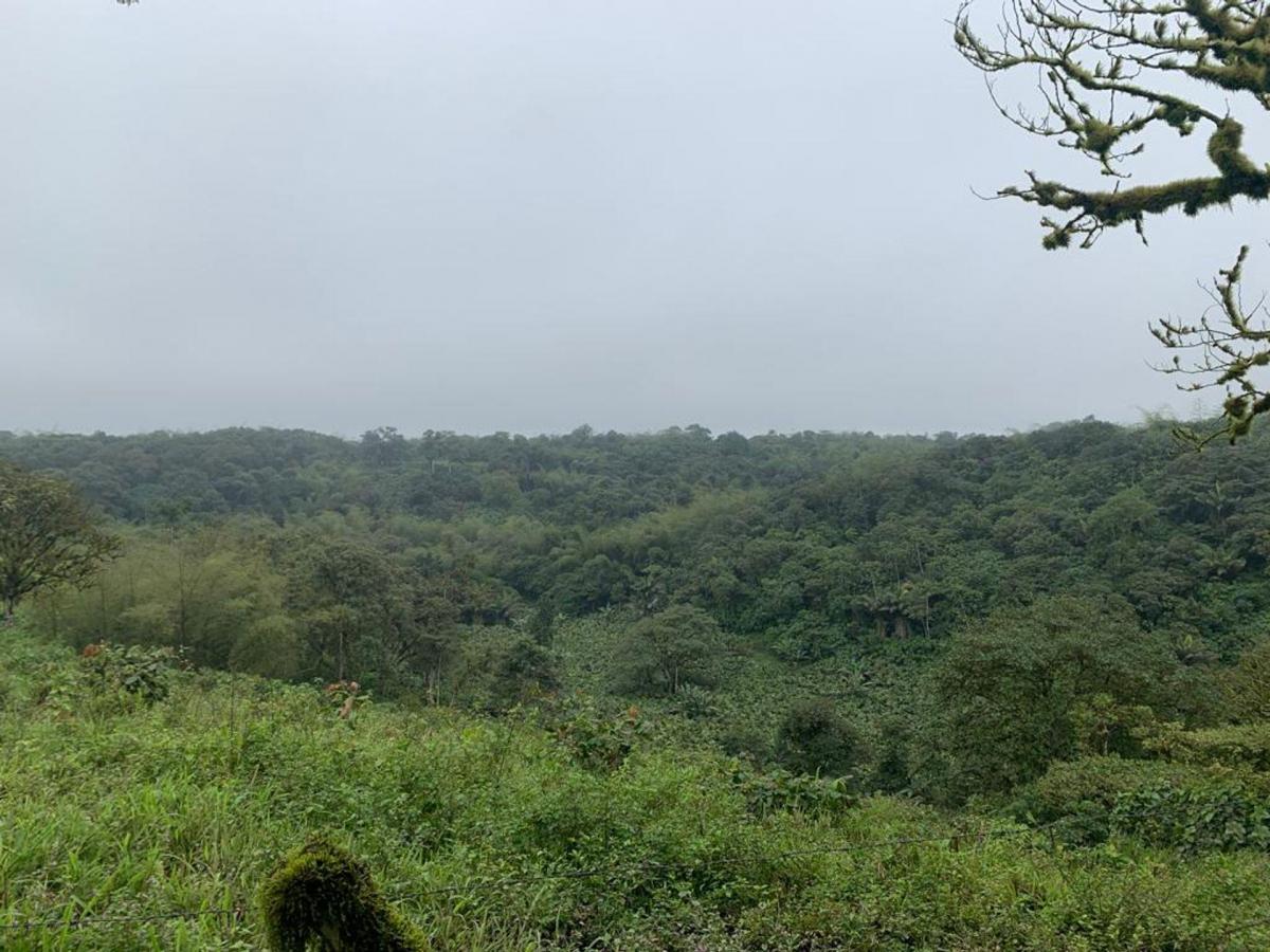 Finca de Venta en Bosque Pacoche Manta Manabí Bl, Manabí — imagen 9