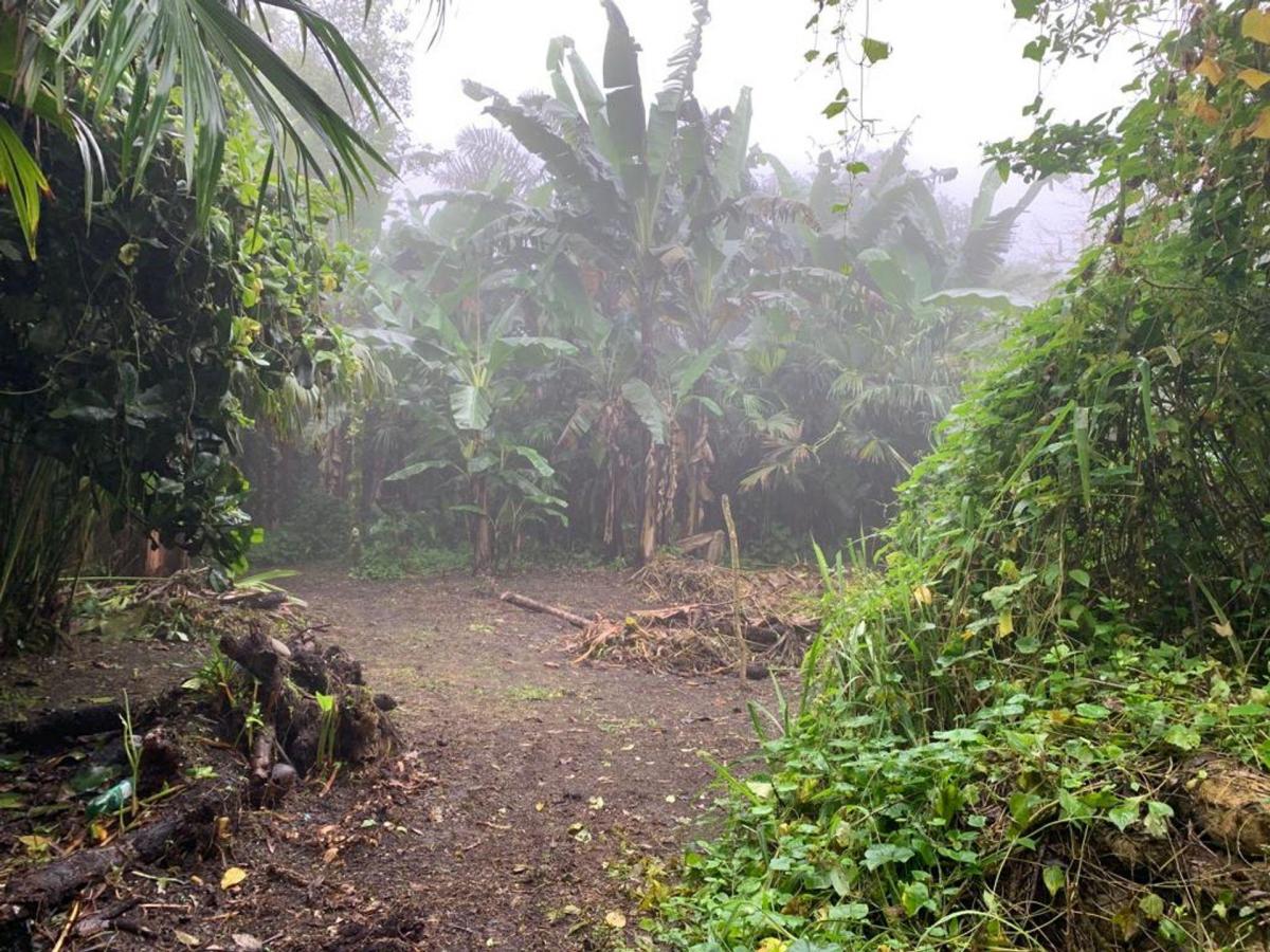 Finca de Venta en Bosque Pacoche Manta Manabí Bl, Manabí — imagen 2